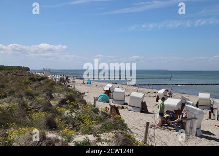 Insel Poel Am Schwarzen Busch Stockfoto