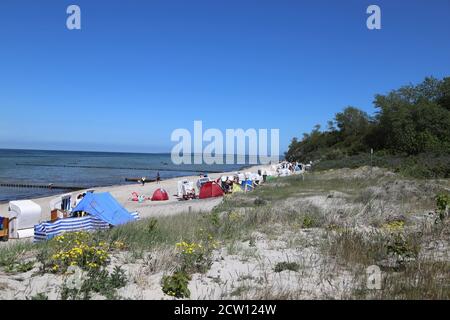 Insel Poel Am Schwarzen Busch Stockfoto