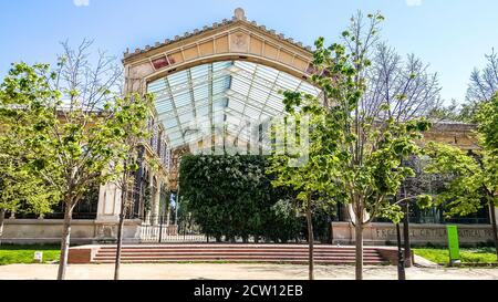 Kleines Gewächshaus im Parc de la Ciutadella (Citadel Park). Barcelona, Spanien Stockfoto