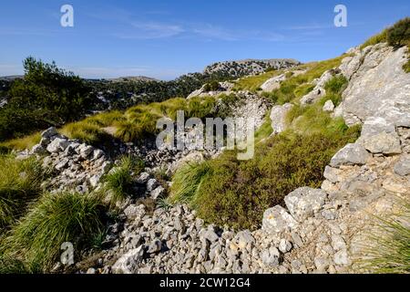 Casa De Neu, Puig de Sa Font, 966 m, Bunyola, Mallorca, Balearen, Spanien Stockfoto