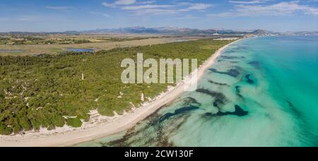 Es Comú, Àrea Natural d'Especial Interès, im Naturpark von s'Albufera, Muro, bahía de Alcúdia, Mallorca, Balearen, Spanien Stockfoto