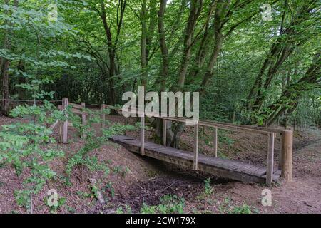 Eine rustikale Holzbrücke überquert ein trockenes Bachbett in der Mitte des Waldes mit Bäumen und Laub. Ruislip Woods Nature Preserve, Hillingdon, London. Stockfoto