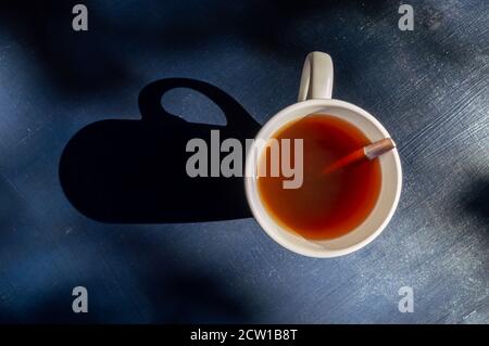 Draufsicht auf einen weißen Teetasse werfen einen dunklen Schatten auf einem dunkelblauen Holz Textur Hintergrund. Stockfoto