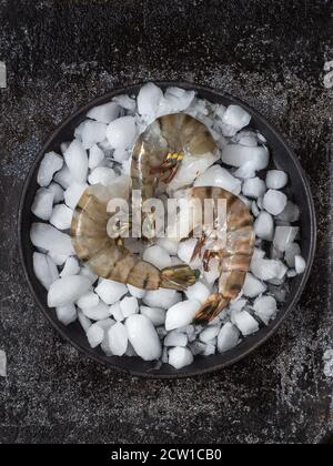 Garnelen auf Eis in schwarzer Schüssel. Dunkler Hintergrund. Overhead-Aufnahme mit Kopierplatz. Stockfoto