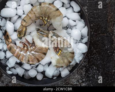 Garnelen auf Eis in schwarzer Schüssel. Dunkler Hintergrund. Overhead-Aufnahme mit Kopierplatz. Stockfoto