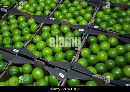 Frische reife Limetten in Pappkartons auf einem Gemüsemarkt im Freien. Großhandel. Hintergrund von Pflaumen. Selektiver Fokus. Hochwertige Fotos Stockfoto