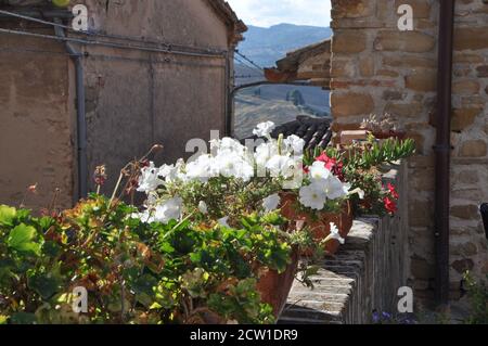 Mittelalterliche Dorf nidastore ist Teil der Gemeinde Arcevia, in der Provinz Ancona, in der Region Marken Stockfoto