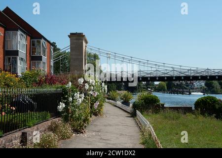 Marlow, Buckinghamshire, Großbritannien. Juni 2020. Ein ruhiger Nachmittag auf dem Thames Path an der Themse, da viele Menschen während der Coronavirus Covid-19 Pandemie weiterhin von zu Hause aus arbeiten. Quelle: Maureen McLean/Alamy Stockfoto