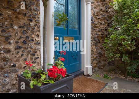 Detailansicht einer schönen, vor kurzem bemalten Haustür und umliegenden Pflanzen am Eingang eines großen, sehr alten Hauses gesehen. Stockfoto