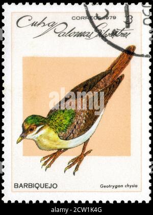 Sankt Petersburg, Russland - 18. September 2020: Briefmarke in Kuba gedruckt das Bild der Key West Quail-Taube. Geotrygon chrysia, um 1979 Stockfoto