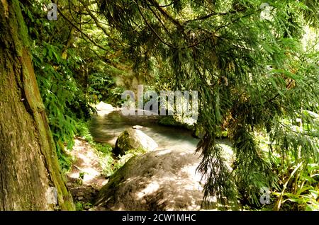 WASSERFALL VON CABRITO Stockfoto