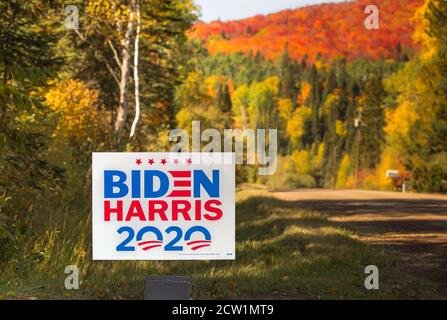 2020 Präsidentschaftswahl Zeichen für die Demokraten Joe Biden und Kamala Harris mit Herbstfarben im Norden von Minnesota Stockfoto