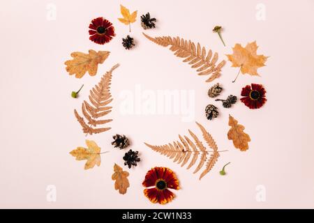 Herbstkomposition. Kranz aus getrockneten Ahornblättern, roten Blumen, Farnen, Tannenzapfen auf rosa Studiohintergrund für Werbung. Herbst, Herbst, danke Stockfoto
