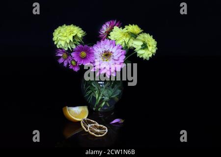 Vase mit Dahlien und Kosmos auf schwarzem Hintergrund Stockfoto