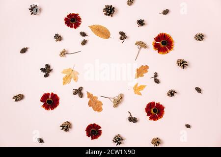 Herbstkomposition. Muster aus getrockneten verschiedenen Blättern, roten Blumen, Tannenzapfen auf rosa Studio Hintergrund für Werbung. Herbst, Herbst, danke Stockfoto