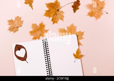 Herbst und Winter Zusammensetzung. Notizbuch und trockene Herbstblätter Ahorn auf pastellrosa Hintergrund. Thanksgiving, Herbst, halloween Konzept. Flach legen, oben vi Stockfoto