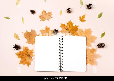 Flache Lay-Komposition mit trockenen Ahornblättern, Notizbuch und Tannenzapfen auf rosa Hintergrund. Kreativer Herbst, Danksagung, Herbst, halloween-Konzept. Stockfoto