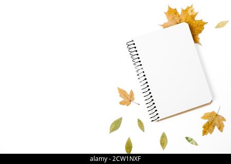 Flache Lay-Komposition. Notizbuch und getrocknete Blätter auf weißem Hintergrund für Werbung. Kreativer Herbst, Danksagung, Herbst, halloween-Konzept. Top Vie Stockfoto