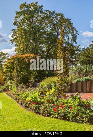 Brinton Park Kidderminster an einem sonnigen, aber windigen Tag. Stockfoto