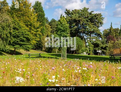 Brinton Park Kidderminster an einem sonnigen, aber windigen Tag. Stockfoto