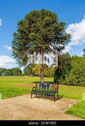 Brinton Park Kidderminster an einem sonnigen, aber windigen Tag. Stockfoto