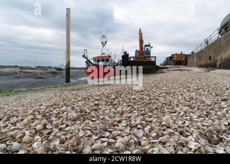 Leiign auf dem Meer, southend auf dem Meer Stockfoto