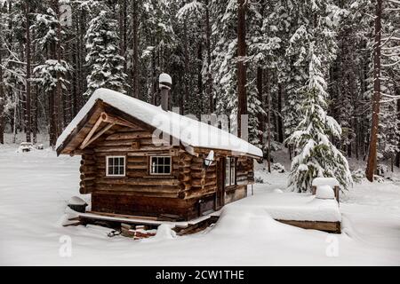Eine verlassene alte Blockhütte liegt ruhig unter einer frischen Schneedecke auf Salt Spring Island, British Columbia, Kanada. Stockfoto