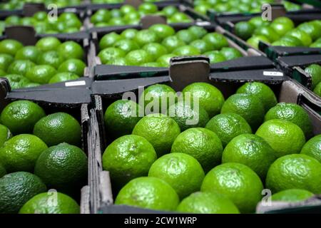 Frische reife Limetten in Pappkartons auf einem Gemüsemarkt im Freien. Großhandel. Hintergrund von Pflaumen. Selektiver Fokus. Hochwertige Fotos Stockfoto