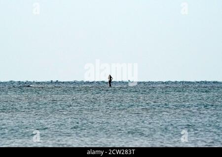 Spaziergang zum Gull Island Presquile Park Ontario Stockfoto