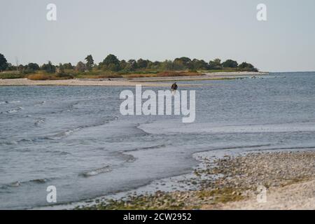 Spaziergang zum Gull Island Presquile Park Ontario Stockfoto