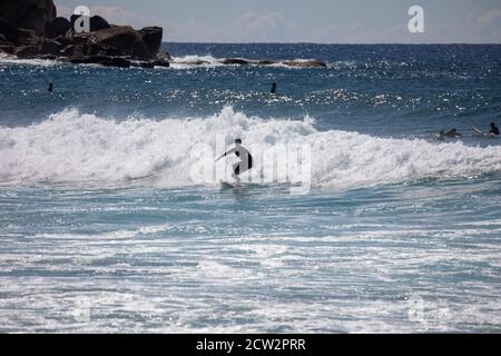 Australischer Surfer reitet auf den Wellen am Avalon Beach in Sydney, NSW, Australien Stockfoto