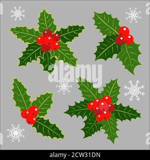 Weihnachtsdekoration Holly Blätter Beeren Sammlung. Stock Vektor