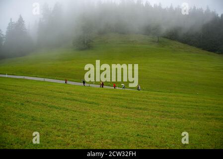 Eine Gruppe von Touristen gehen auf einer Straße durch ein almwiese auf dem Weg zum Bus Stockfoto