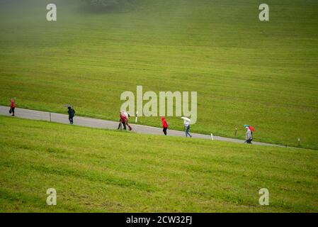 Eine Gruppe von Touristen gehen auf einer Straße durch ein almwiese auf dem Weg zum Bus Stockfoto