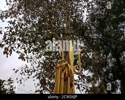 BEZIRK KATNI, INDIEN - 10. OKTOBER 2019: Lord shiva Dreizack isoliert auf Stechpalme Hintergrund. Stockfoto