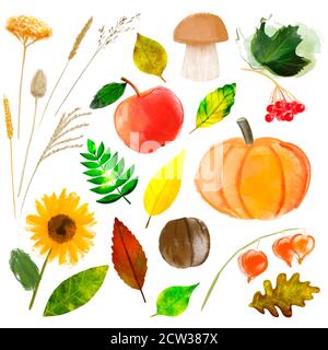 Set von Herbst Aquarell-Elemente: Kürbis, Apfel, Pilz, Viburnum, Dornen, Blätter, Sonnenblume, Walnuss isoliert auf weiß Stockfoto