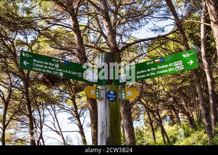 Der Küstenweg GR92, der durch Pinienwald bei Lloret de Mar an der Costa Brava, Spanien, führt Stockfoto