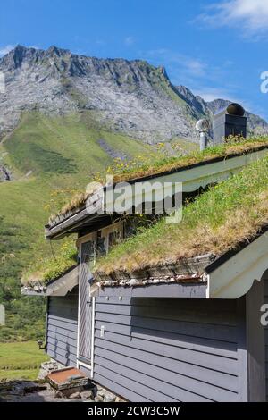 ROMEDALEN, NORWEGEN - 2014. JULI 21. Altes traditionelles Bauernhaus mit Gras auf dem Dach in der Mitte des Tales. Stockfoto