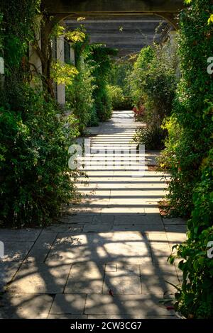 Hampsted Pergola in Hill Gardens. Hölzerne Querbalken, die einen Schatten auf den steinernen Gang werfen. Stockfoto