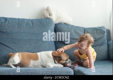 Baby Streichelhund auf dem Sofa Stockfoto