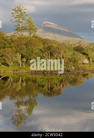 Der Gipfel des Canisp spiegelte sich in loch druim suardalain Stockfoto