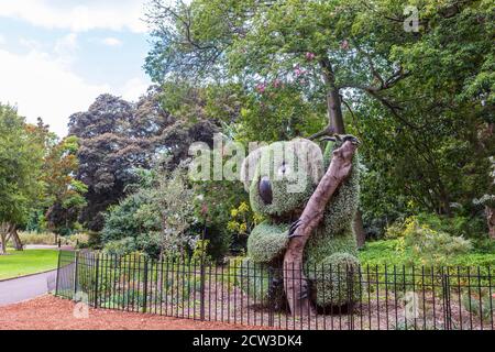 Riesige lebende Skulptur im Royal Botanical Garden in Sydney, Australien. Stockfoto