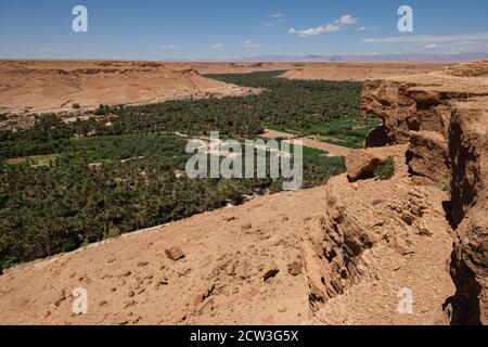 palmeral de Tafilalet, valle del río Ziz, Marruecos, Afrika Stockfoto