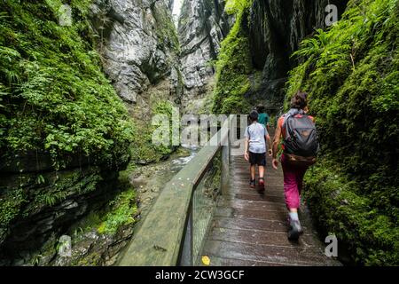 Garganta de Kakueta, Sainte-Engrâce, región de Aquitania, departamento de Pirineos Atlánticos, Francia Stockfoto