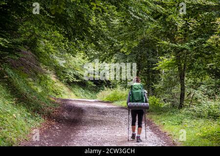 Senderista en el bosque, pista de Anapia a prados de Sanchese, Trekking de las Golondrinas, Lescun, región de Aquitania, departamento de Pirineos Atlá Stockfoto