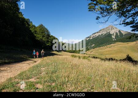 ruta de las Golondrinas, barranco de Petrechema, pirineos occidentales, , Huesca, Aragón, Spanien, Europa Stockfoto