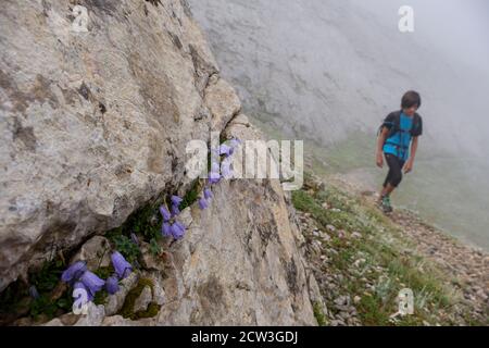 ruta de las Golondrinas, collado de Petrechema, pirineos occidentales, , Huesca, Aragón, Spanien, Europa Stockfoto