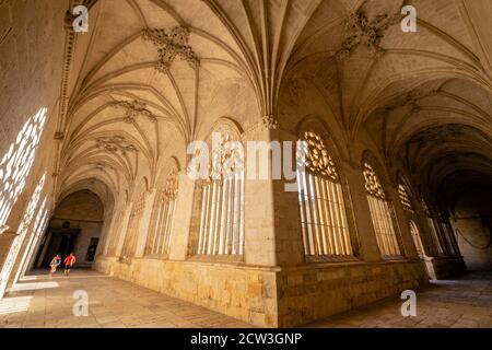 claustro, Catedral de Santa María de la Asunción, El Burgo de Osma, Soria, comunidad autónoma de Castilla y León, Spanien, Europa Stockfoto