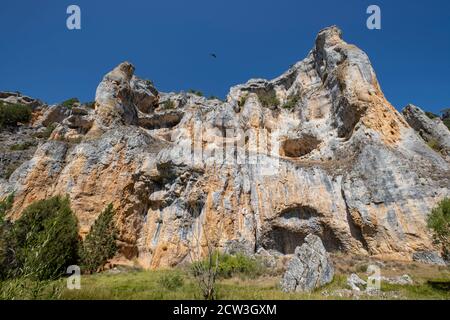 zona de reserva Castillo Billido, Parque Natural del Cañón del Río Lobos, Soria, Comunidad Autónoma de Castilla, Spanien, Europa Stockfoto