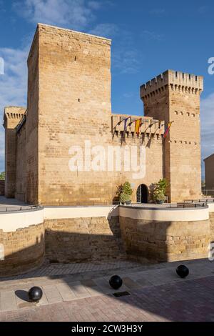 castillo de Aguas Mansas, construido durante los siglos XIII y XIV, Agoncillo, La Rioja , Spanien, Europa Stockfoto